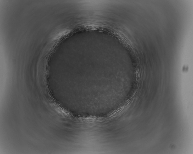 X0000095130961200712301821