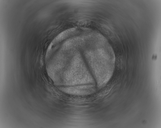 X0000095130962200712301821