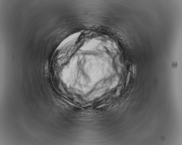 X0000095130963200712301821