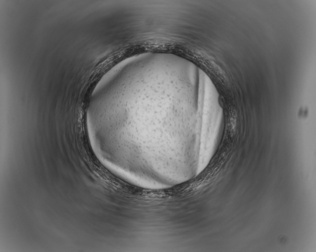 X0000095130964200712301821