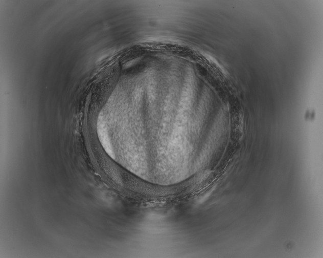 X0000095130965200712301821