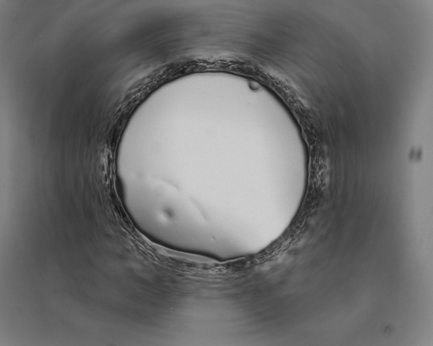 X0000095130966200712301821