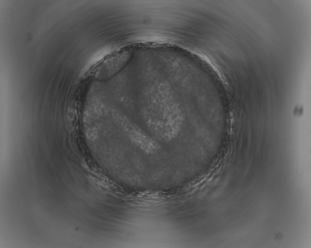 X0000095130967200712301821