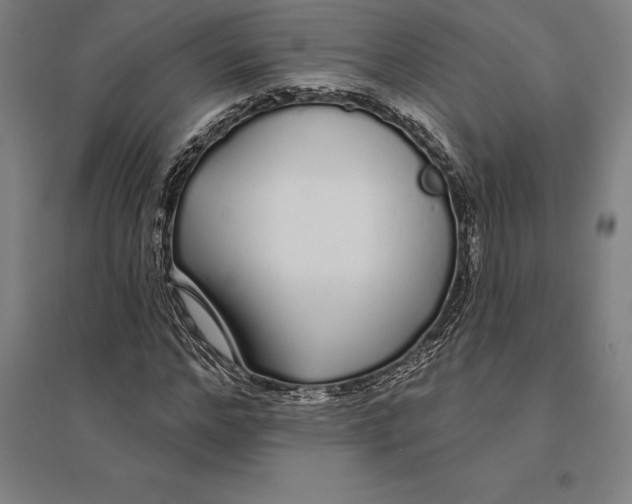 X0000095130968200712301821