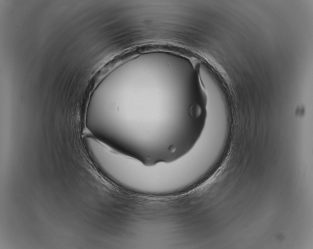 X0000095130969200712301821