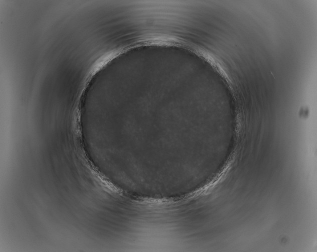 X0000095130970200712301821