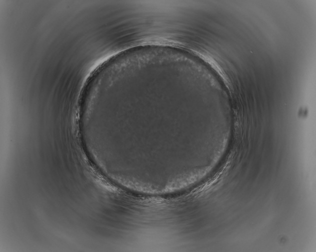 X0000095130971200712301821