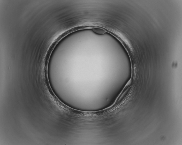 X0000095130972200712301821