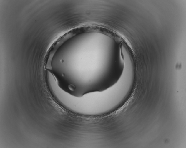 X0000095130973200712301821