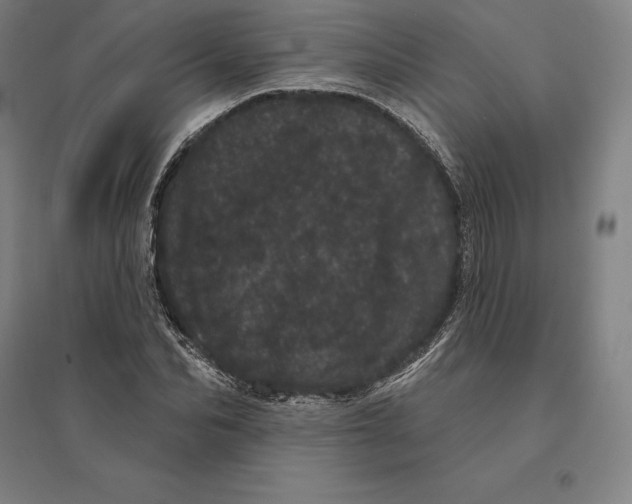 X0000095130974200712301821