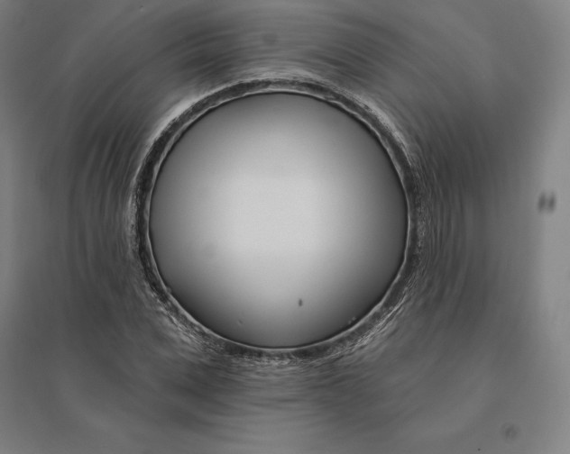 X0000095130975200712301821