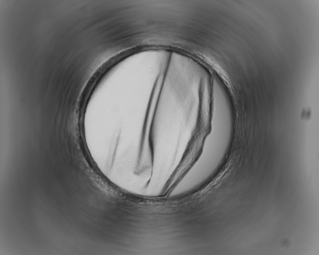 X0000095130976200712301821