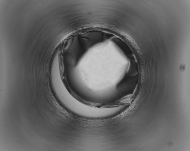 X0000095130977200712301821