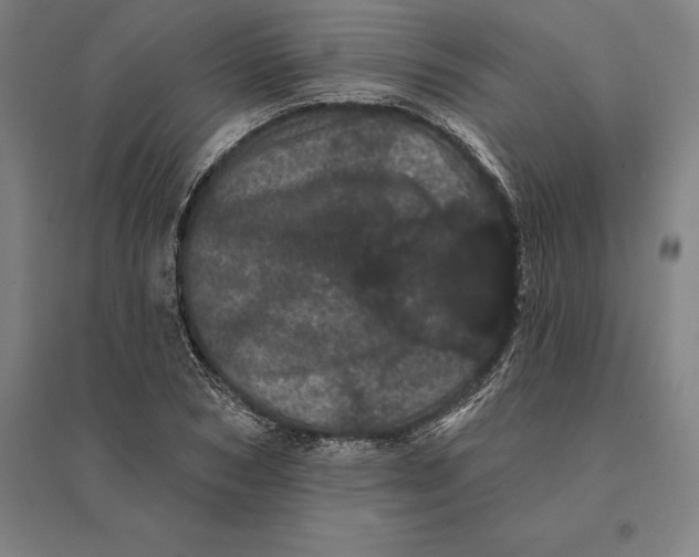 X0000095130978200712301821