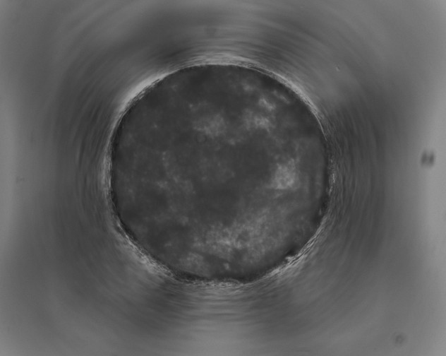 X0000095130979200712301820