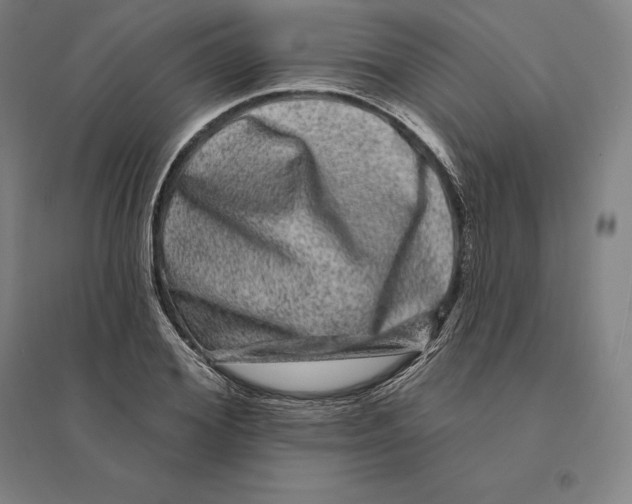 X0000095130980200712301820