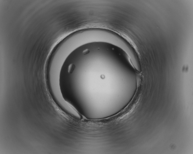 X0000095130981200712301820