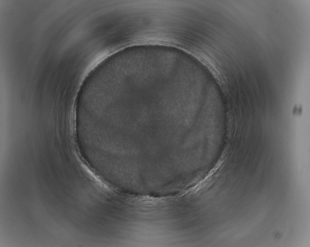 X0000095130982200712301820