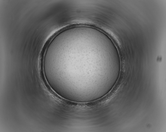 X0000095130983200712301820