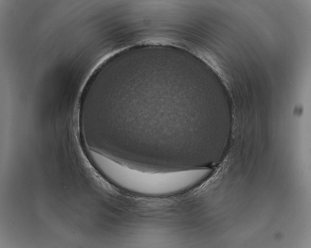 X0000095130984200712301820