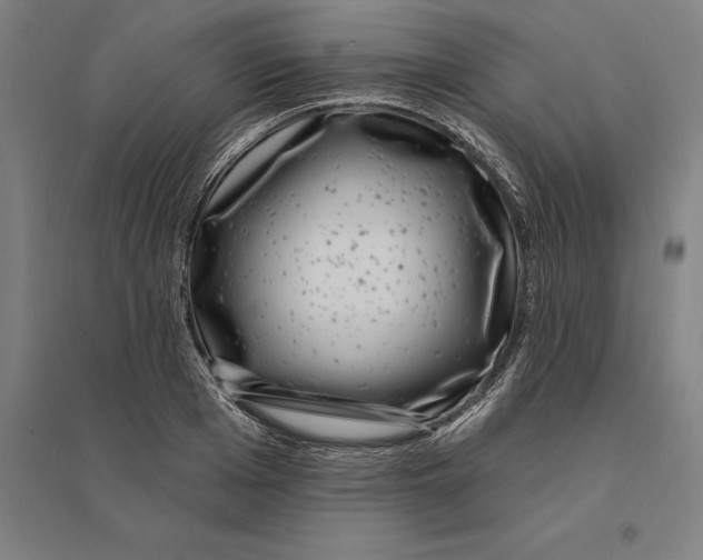 X0000095130985200712301820