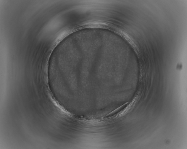 X0000095130986200712301820