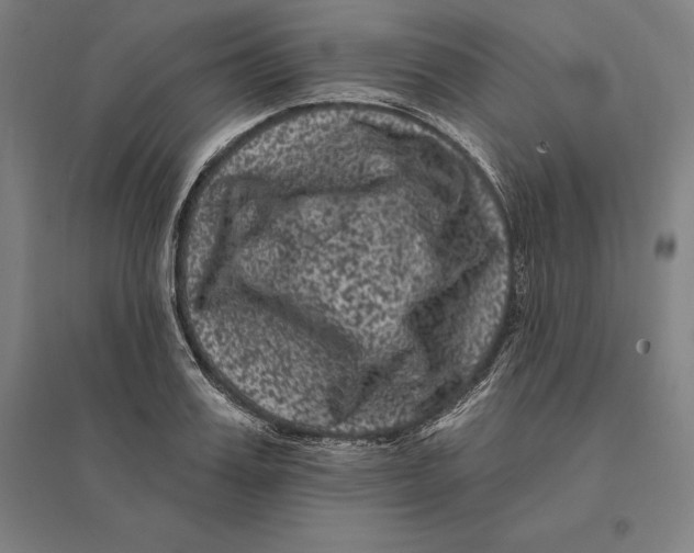 X0000095130987200712301820