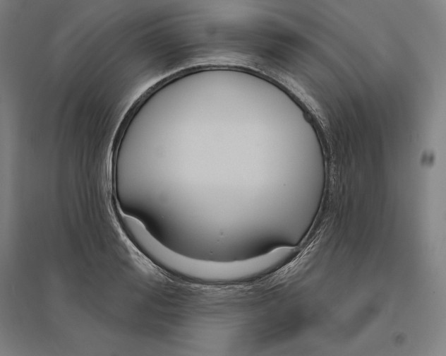 X0000095130988200712301820