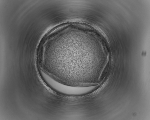 X0000095130989200712301820