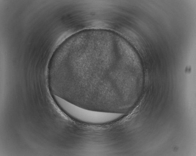 X0000095130990200712301820