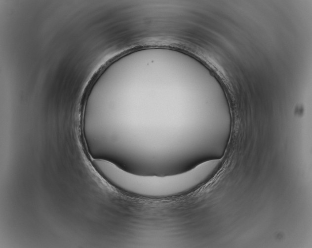 X0000095130992200712301820