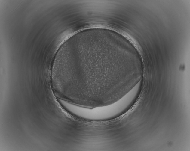 X0000095130993200712301820