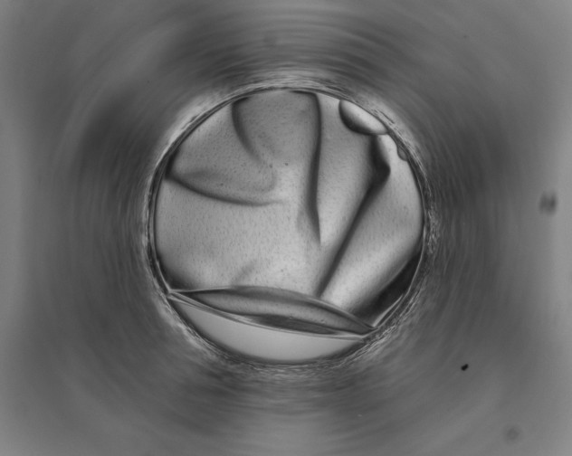 X0000095130994200712301820