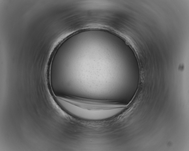 X0000095130995200712301820