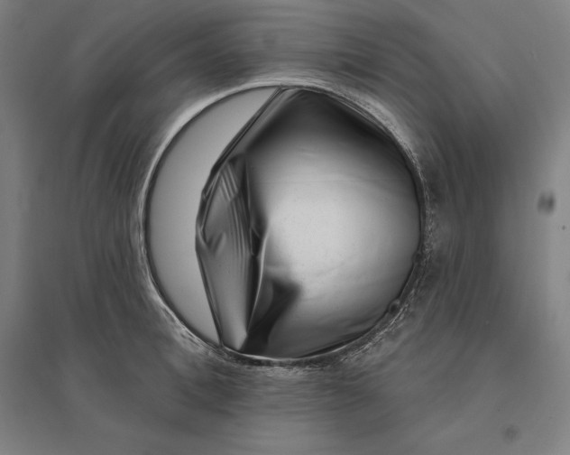 X0000095130996200712301820