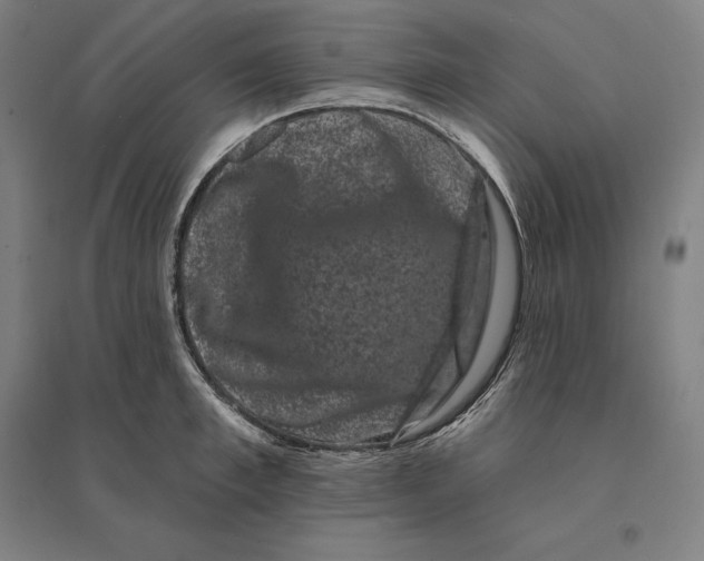 X0000095130997200712301820