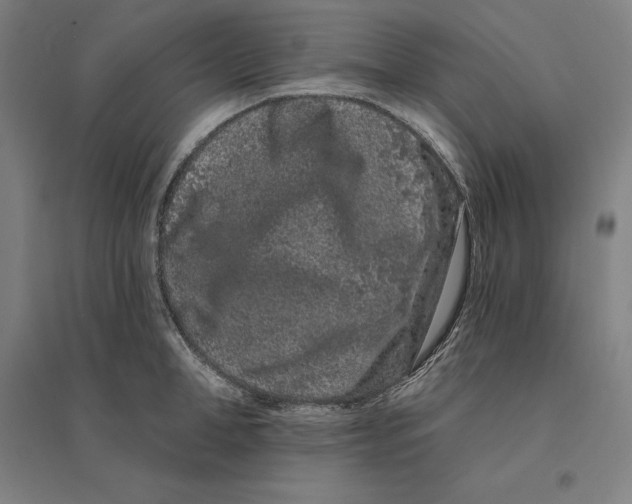 X0000095130998200712301820