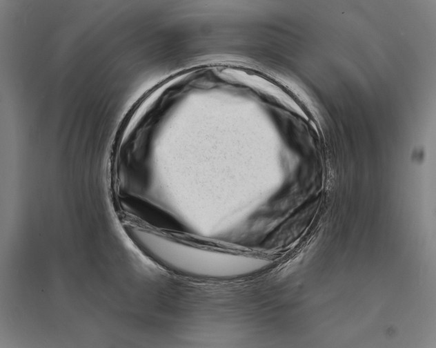 X0000095130999200712301820