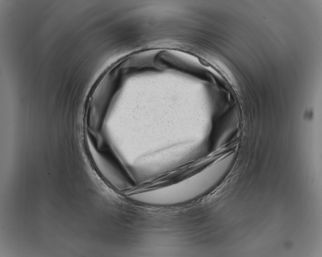 X0000095131000200712301820