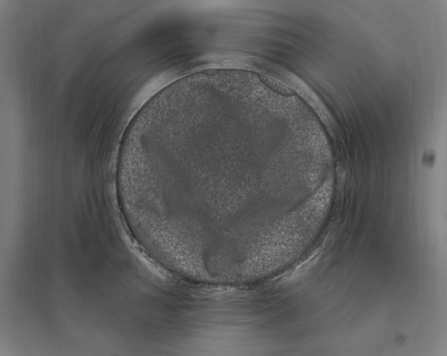 X0000095131002200712301820