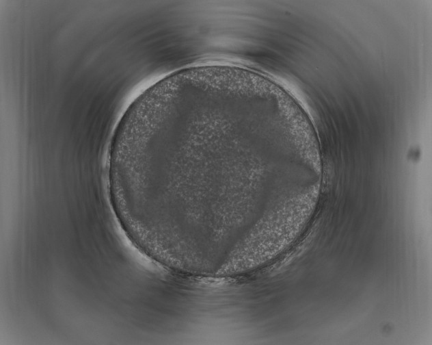 X0000095131003200712301820