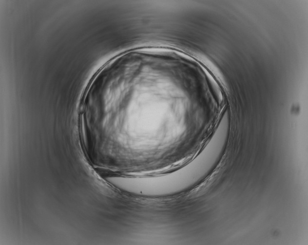 X0000095131004200712301820