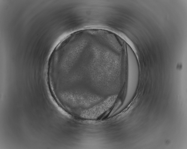 X0000095131005200712301820