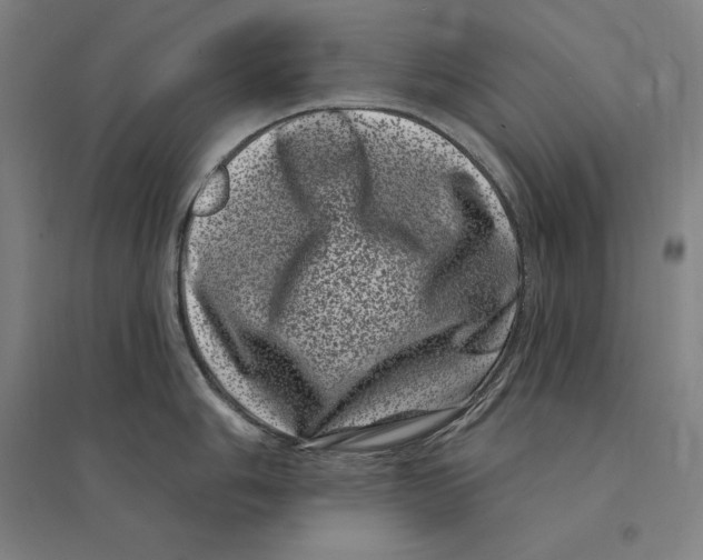 X0000095131006200712301820