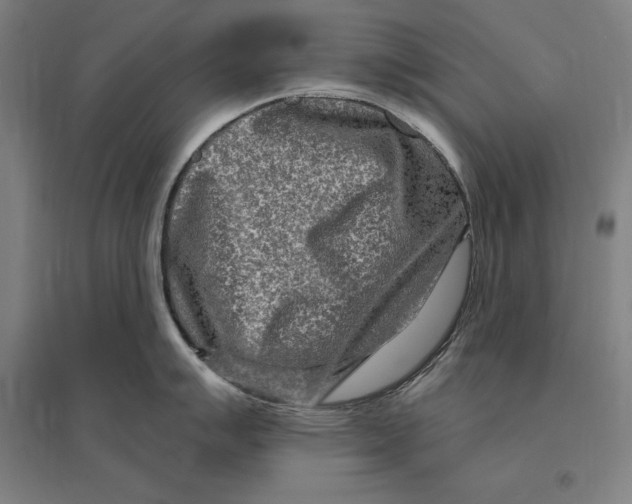 X0000095131007200712301820