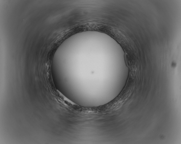 X0000095131010200712301819