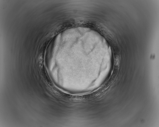 X0000095131011200712301819