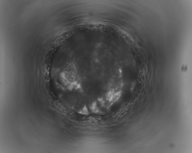 X0000095131013200712301819