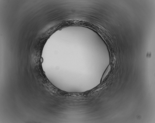 X0000095131014200712301819