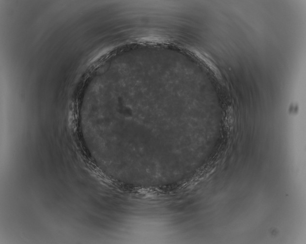 X0000095131015200712301820